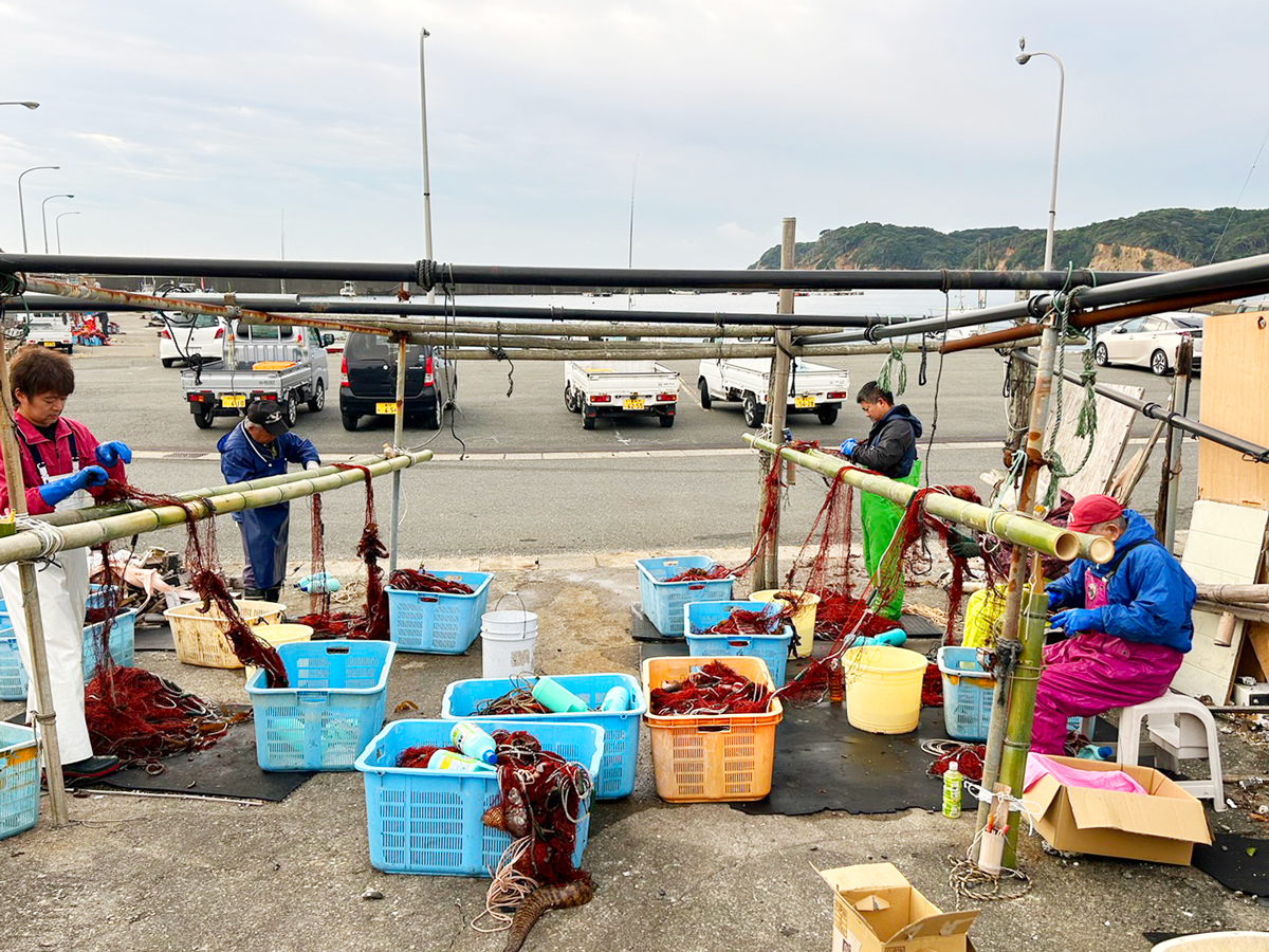 伊勢海老漁